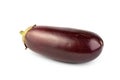 Isolated eggplant. One fresh eggplant over white background, with clipping path Royalty Free Stock Photo