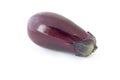 Isolated eggplant. One fresh healthy ripe purple eggplant over white background Royalty Free Stock Photo