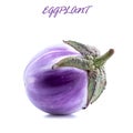 Isolated eggplant. One fresh eggplant over white background, with clipping path Royalty Free Stock Photo