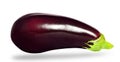 Isolated eggplant. One fresh eggplant on a white background. Royalty Free Stock Photo