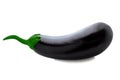 Isolated eggplant. One-piece on a white background with clipping path as an element of packaging design, flyers for supermarkets