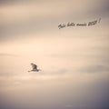 Isolated egret flying in the sky text with Royalty Free Stock Photo