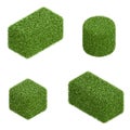 Isolated elements of green hedge in isometric view