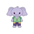 Isolated elephant animal