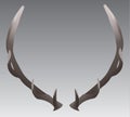 Isolated elk horns or antlers Royalty Free Stock Photo