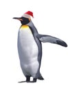 Isolated emperor penguin Royalty Free Stock Photo
