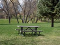 Isolated, Empty Picnic Table in Park Royalty Free Stock Photo