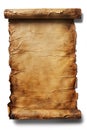 An isolated empty unwritten sheet of old parchment, ready for your text ! Royalty Free Stock Photo