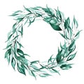 Isolated eucalyptus leaves wreath.