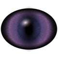 Isolated eye. Raptor purple eye with large pupil and bright red retina. Dark iris around pupil. Royalty Free Stock Photo