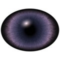 Isolated eye. Raptor purple eye with large pupil and bright red retina. Dark iris around pupil. Royalty Free Stock Photo