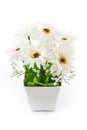 Isolated of fake flower with vase on white