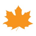 Isolated fall leaf silhouette Royalty Free Stock Photo