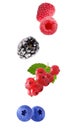 Flying fresh berries isolated on white background Royalty Free Stock Photo