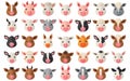 Isolated Farm Animal Heads Royalty Free Stock Photo