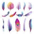 Isolated feather collection. Colorful fantasy feathers, peacock bird tail element. Isolated festive decorative plumage Royalty Free Stock Photo