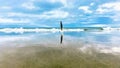 Isolated Feather Standing on Sandy Beach in Virginia Royalty Free Stock Photo