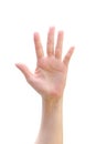 Isolated female woman human hand open palm raising up on white background expressing vote, volunteering