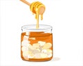 Isolated Fermented Honey Garlic on white background. Honey drip to a jar that contains unpeeled garlics and honey inside. Food and