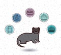 Isolated ferret and pet icon set design