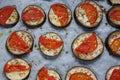 Isolated filled frame close up shot of baked sliced aubergine eggplant with thin tomato slices on top, sprinkled with dry green Royalty Free Stock Photo