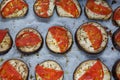 Isolated filled frame close up shot of baked sliced aubergine eggplant with thin tomato slices on top, sprinkled with dry green Royalty Free Stock Photo