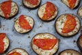 Isolated filled frame close up shot of baked sliced aubergine eggplant with thin tomato slices on top, sprinkled with dry green Royalty Free Stock Photo