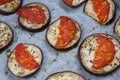 Isolated filled frame close up shot of baked sliced aubergine eggplant with thin tomato slices on top, sprinkled with dry green Royalty Free Stock Photo