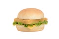 Isolated fillet fish sandwich with lettuce and cheese