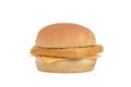 Isolated fillet fish sandwich