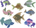 Isolated fish set. Set of freshwater aquarium cartoon fishes. Varieties of ornamental popular color fish. Flat design fish.