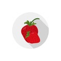 Isolated flat icon of vegetarian eating berries on a white background. Ripe red strawberry. Vector Royalty Free Stock Photo