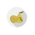 Isolated flat icon of vegetarian food fruits on white background. Ripe yellow pear. Vector Royalty Free Stock Photo