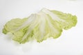  flat lay shot of a pile of Chinese napa cabbage leaves on a white background
