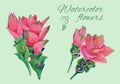 Isolated floral elements of blossom of curcuma