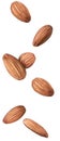 Isolated flying almonds. Almond nuts on the air isolated on white background with clipping path. Royalty Free Stock Photo