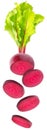 Isolated flying beetroots. Falling sliced beetroot with leaves isolated on white background, with clipping path. Royalty Free Stock Photo