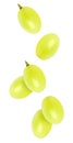 Isolated flying grapes. Falling grape fruits isolated on white background, with clipping path. Royalty Free Stock Photo