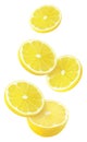 Isolated flying lemons. Falling sliced lemon fruit isolated on white background with clipping path.