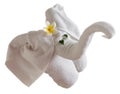 Isolated fold towel elephant with flower and green leaves