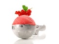 Berry Sorbet in a Scoop on white Background - Isolated Royalty Free Stock Photo