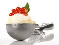 Icecream in a Scoop with Berries on white Background - Isolated Royalty Free Stock Photo