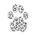 Isolated footprint of snow leopard irbis ounce with skin print on white background.