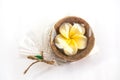 Isolated fragrant candle,flowers,style