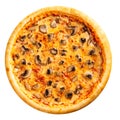 Isolated fresh baked mushroom pizza