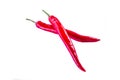 Isolated Fresh Cayenne Pepper on White Background.