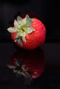 Single strawberry Royalty Free Stock Photo