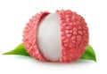 Isolated fresh lychee. Cut lichee fruit with leaves isolated on white