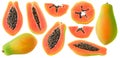 Isolated fresh papaya collection Royalty Free Stock Photo