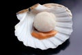 Isolated Fresh raw scallop - seafood Royalty Free Stock Photo